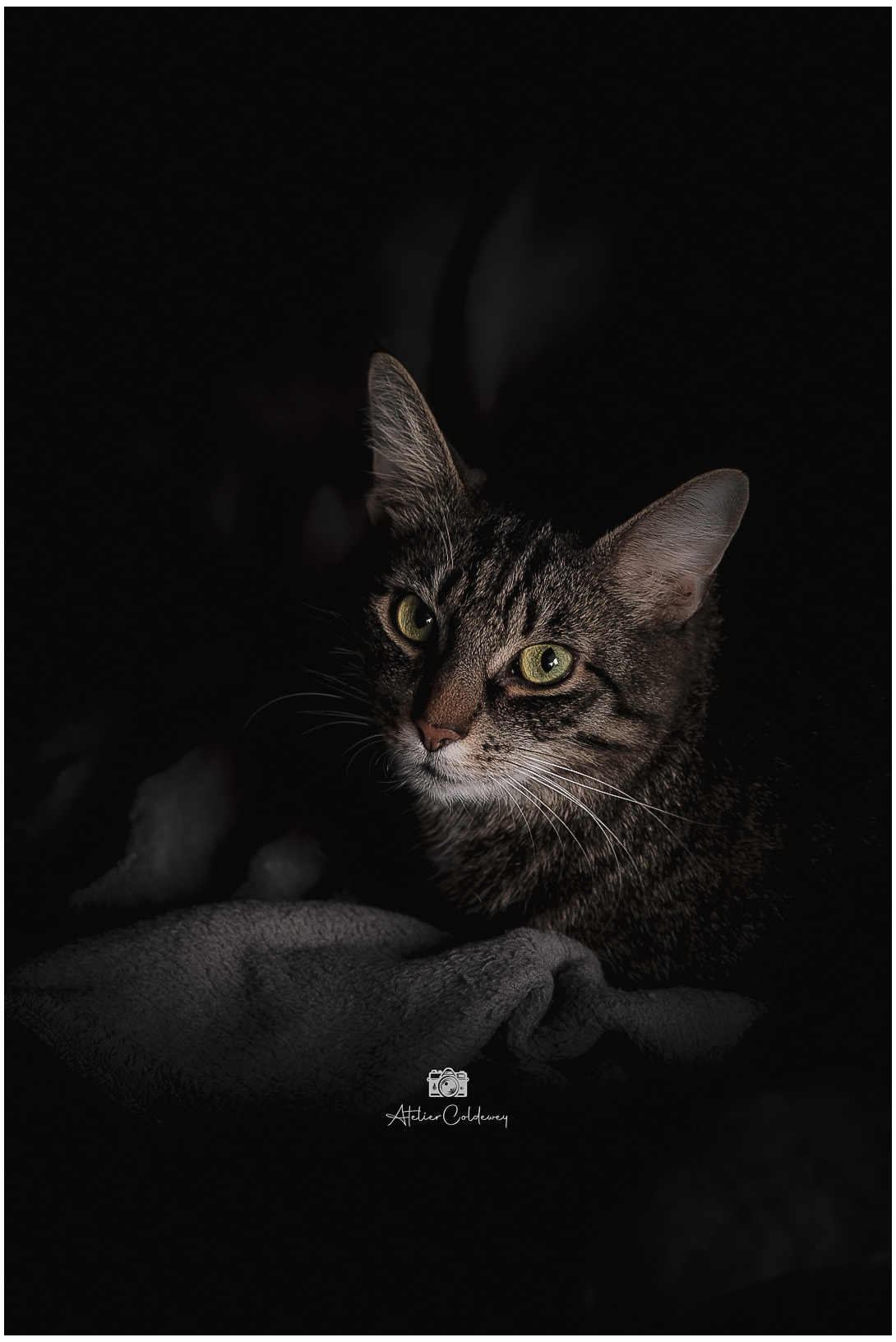 Event – DSC050975146234