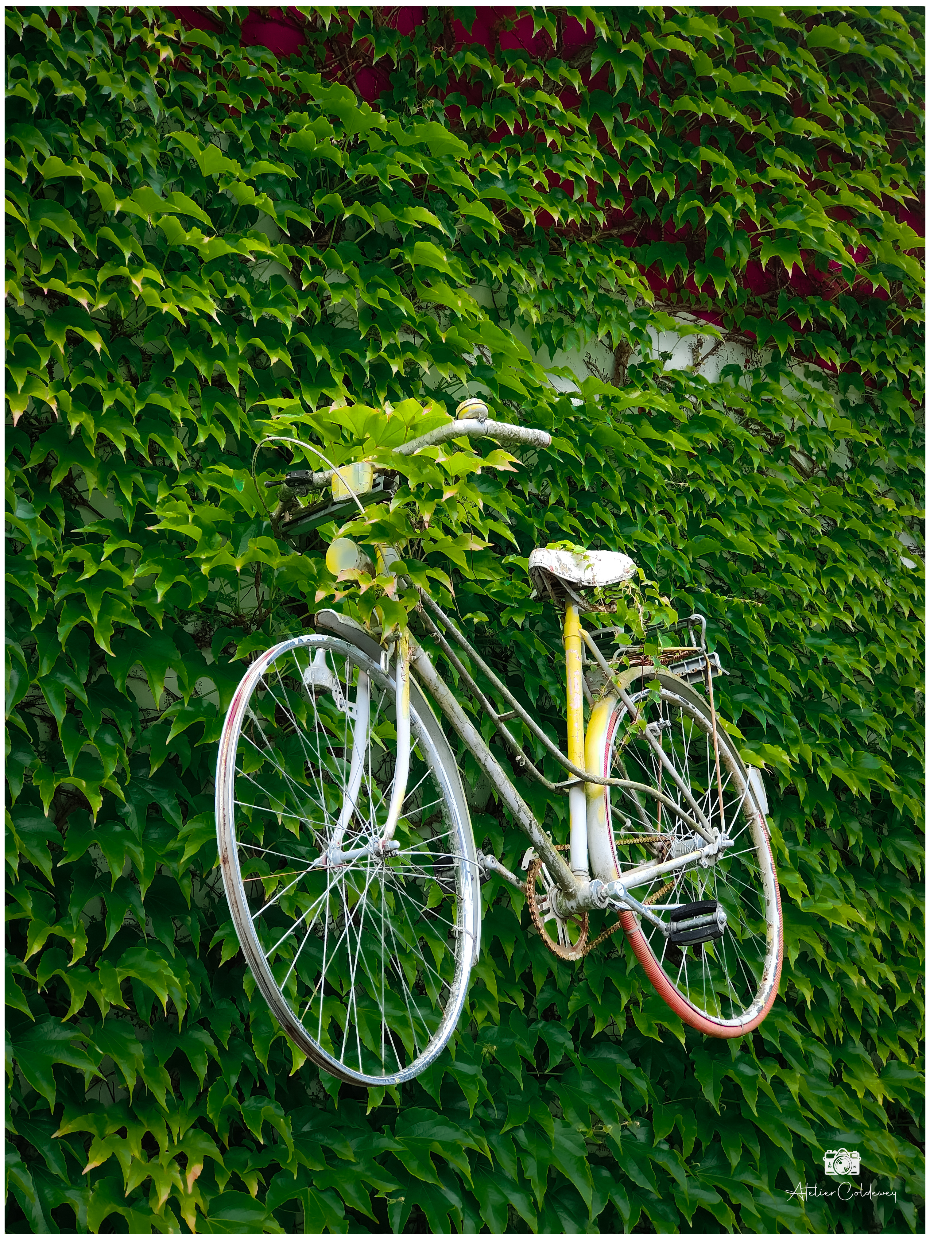 Event – IMG202506071823582623